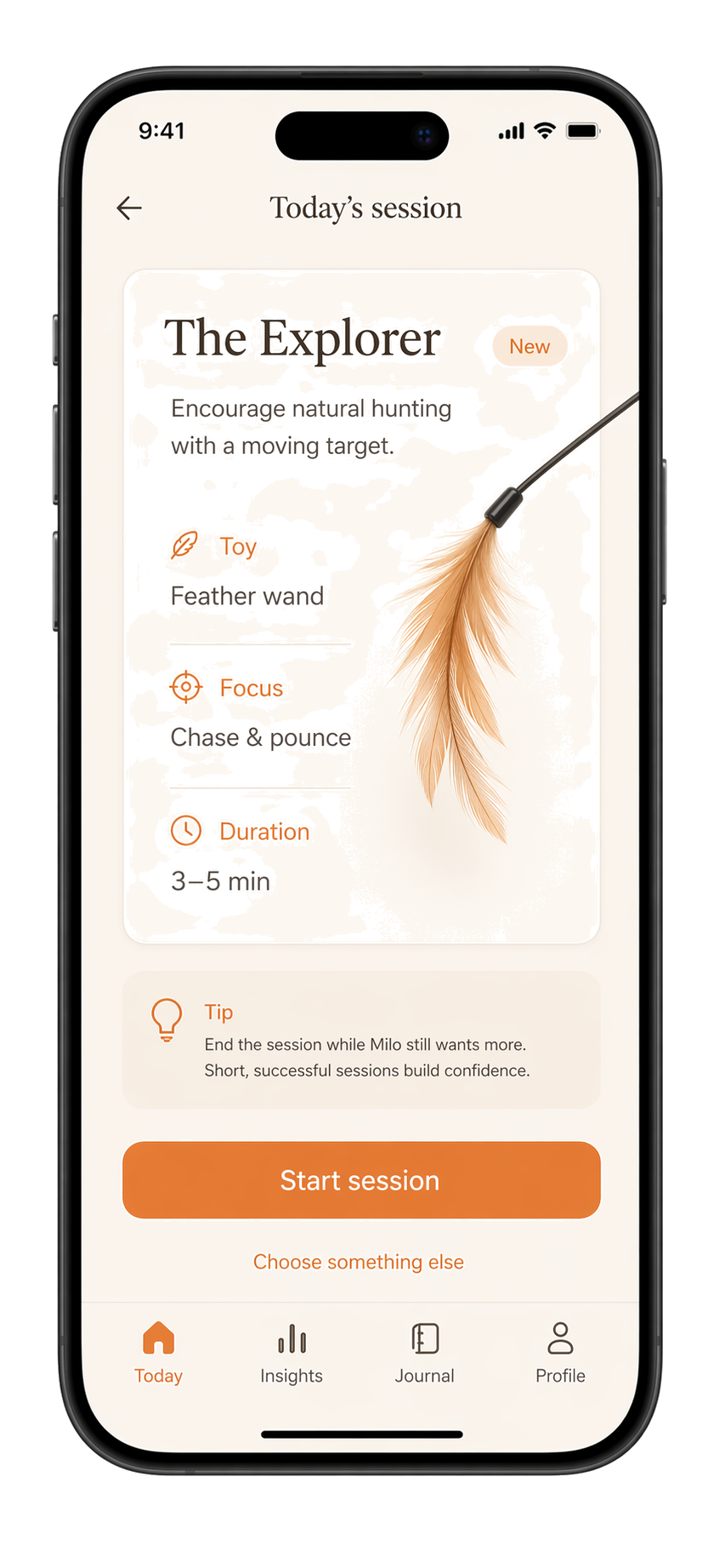 Guided CatPlay session explorer screen