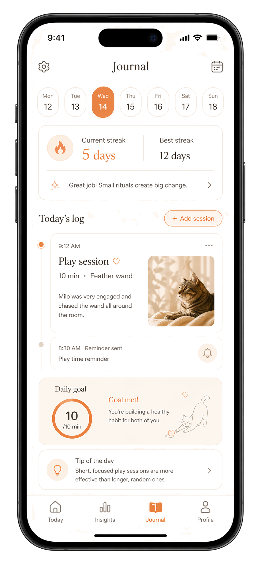 CatPlay journal and routine screen