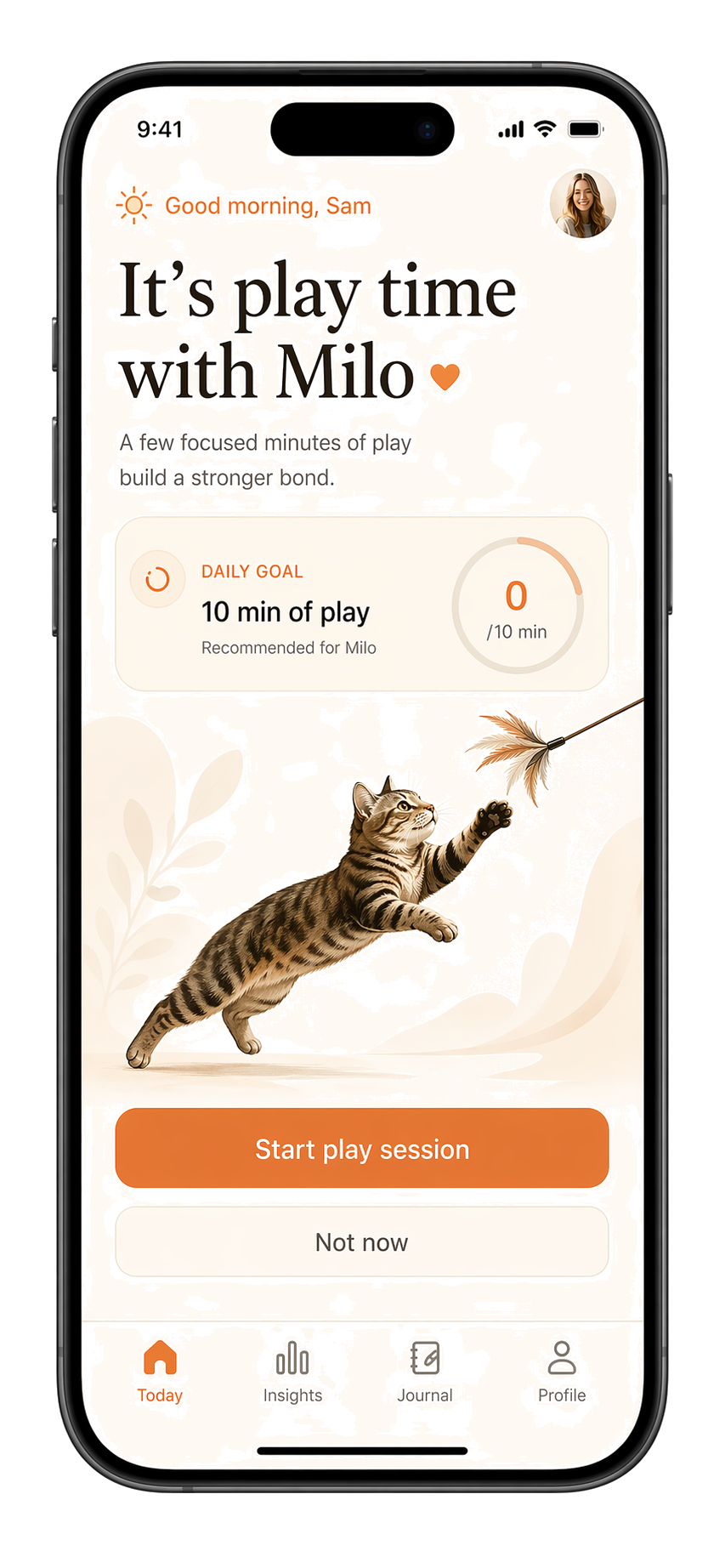 Start play session screen in CatPlay