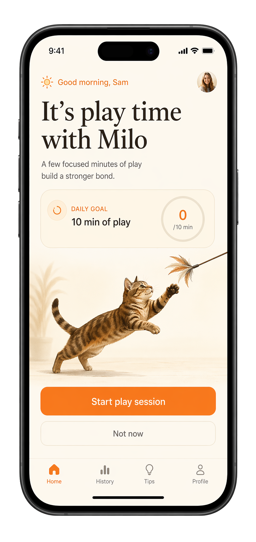 Get a gentle nudge. Start a play session. screen in the CatPlay app